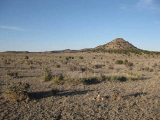 #1: Looking northeast at the site