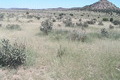 Visit #4: [30-Aug-13]
