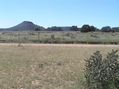 #4: View to the south from the confluence point.