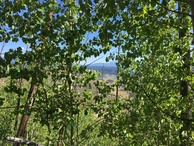 #3: View to the north toward the valley