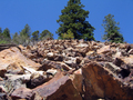 #7: Low aspect view looking up the scree slope. 