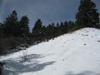 #1: View of the confluence looking north-northwest and up 