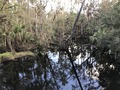 #9: Some swamplands en route to the confluence, about 500 meters southeast of the point.