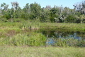 Visit #10: [09-Nov-07]