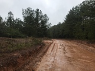 #7: Road past the gate, taken over the top of the gate, in the direction of the confluence point. 