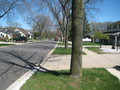 #4: view east