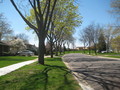 #6: view west