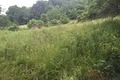 Visit #5: [04-Jun-16]