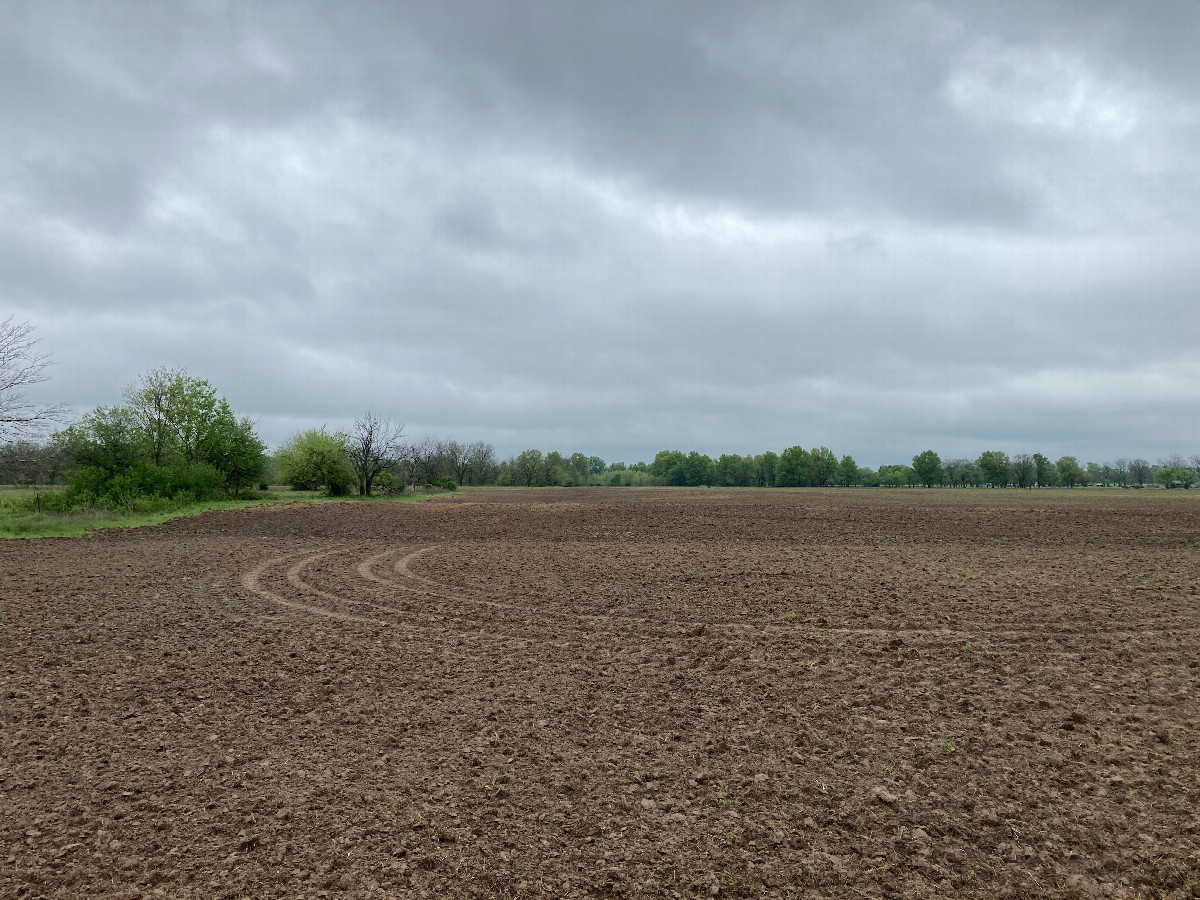 Looking north from the confluence