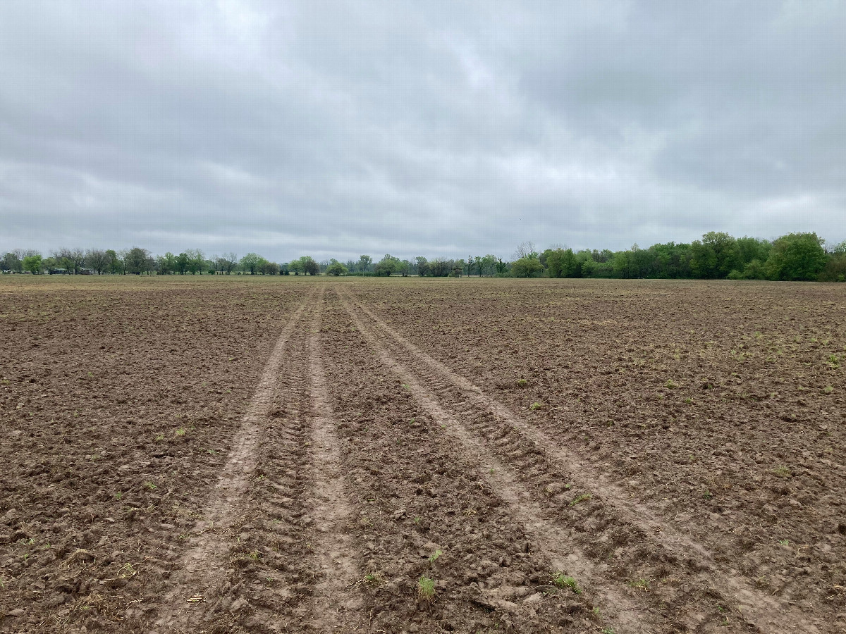 Looking northeast up the straight-line vehicle track that led to the confluence