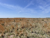 #5: View to the south