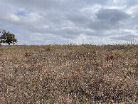 #3: View to the east and slightly uphill