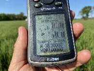 #2: GPS reading at the confluence point. 