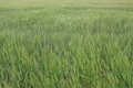 Visit #5: [27-May-13]