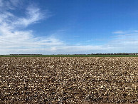 #2: Looking north from the confluence
