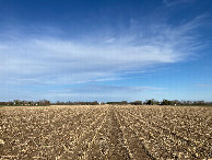 #3: Looking east
