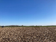 #4: Looking south, toward the nearest road