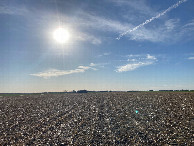 #5: Looking west