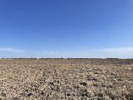 #4: View to the south