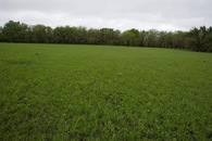 #2: View North