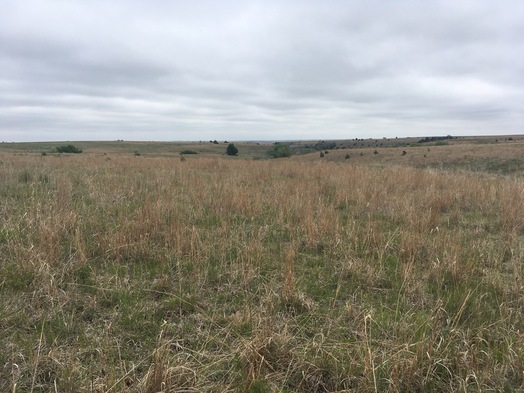 #1: View NE toward the confluence in the foreground