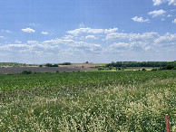#5: View to the west