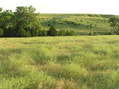 #4: View to the west from the confluence.