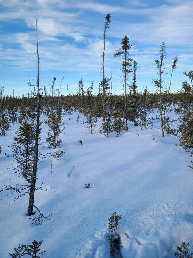 #1: North