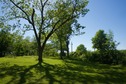 #4: View West