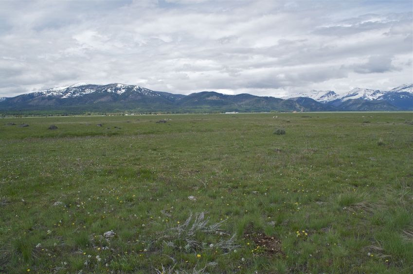 View North (towards the Bob Marshall Wilderness)