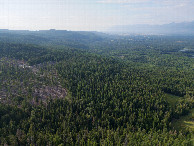 #8: View North, from 120m above the point