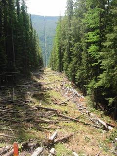 #1: Looking West, down the mountain to Americus Creek