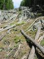 #5: Looking East - fortunately we didn't have to climb the rockface