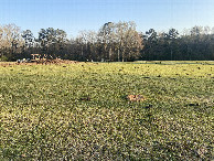 #4: View to the south from the confluence point. 