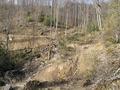 #6: The new road makes a switchback just east of the cp.  Walking down this drainage is a relatively easy way to reach 36N 82W.