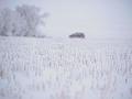 #8: The vehicle is in sight after the snowy confluence trek.