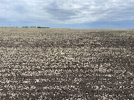 #2: The view to the north from the confluence point.