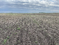 #3: The view to the east from the confluence point.