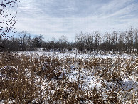 #4: Looking south
