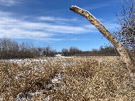 #5: Looking west