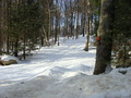 #9: This snowy road off of Depot Road leads to Carpenter’s Marsh WMA.