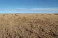Visit #6: [14-Dec-10]