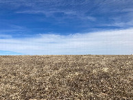 #2: Looking north from the confluence, up a subtle ridge