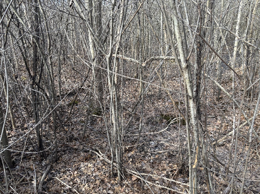 #1: The consequence point lies in the foreground, looking southwest. 