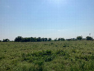 #5: Looking west