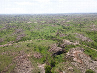 #11: View West (into Texas, along my hiking route) from a height of 120m