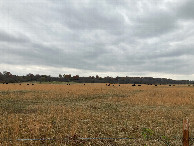 #2: Looking south, directly toward the confluence