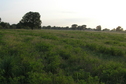 #2: View to the west from the confluence point.