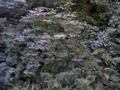#4: View South