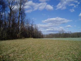 #1: Confluence; Looking East